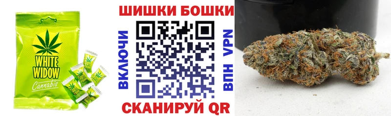 закладки  Кудрово  Canna-Cookies марихуана 