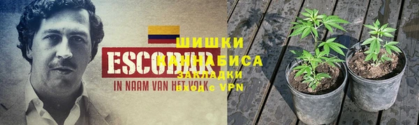 стафф Балабаново