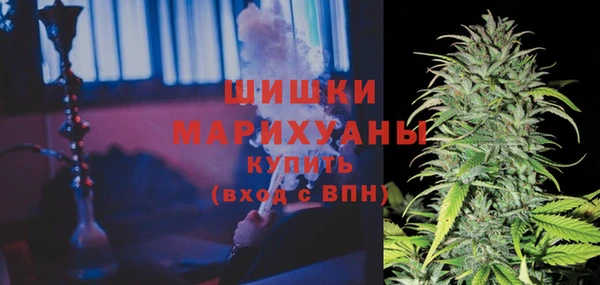 гидра Балахна