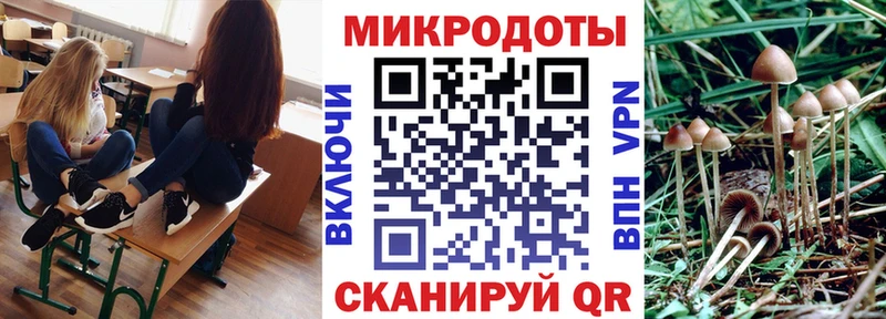 купить  цена  Кудрово  Галлюциногенные грибы прущие грибы 